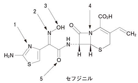 セフジニルの原子のうち、鉄イオンに最も配位しにくいのはどれか 103回薬剤師国家試験問210
